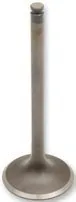 Engine Valves – Steel Intake Valve