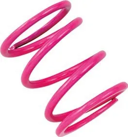 Primary (Drive) Clutch Springs