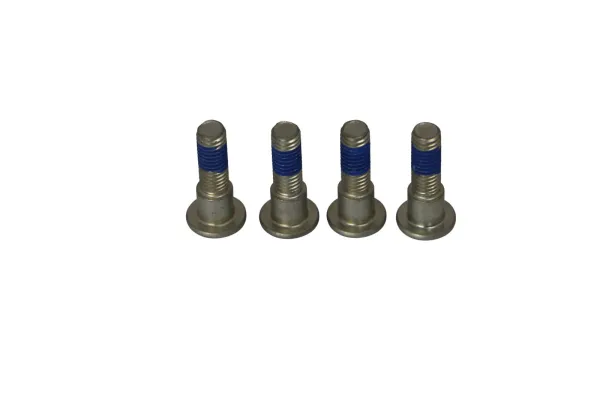 Bolt Sets for Brake Discs – Rear Rotor Bolt