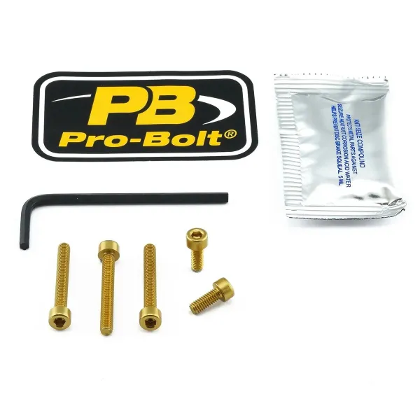 Aluminum Fuel Cap Screw Kits – Gold