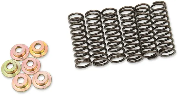 Clutch Kits, Discs and Springs – Springs
