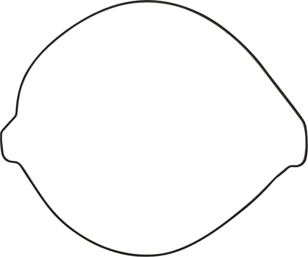Gaskets and Oil Seals – Complete Gasket Sets with Oil Seals - Clutch Gasket Outer