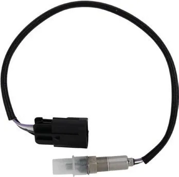 Oxygen Sensors