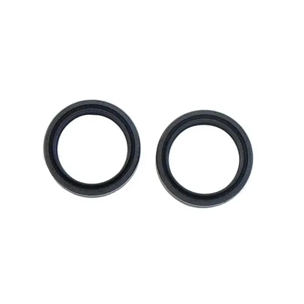 Athena FORK SEAL 41X53X11