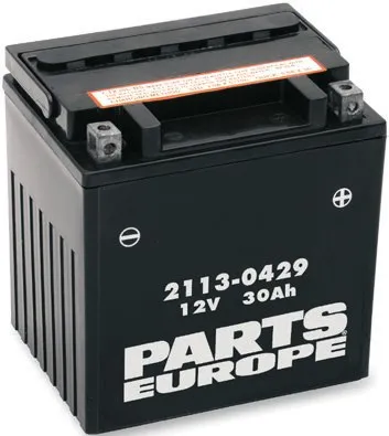 High-Performance Agm Maintenance-Free Batteries – YIX30L-BS