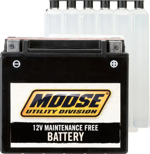 Agm Maintenance Free Batteries – YTX14-BS