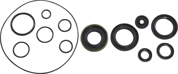 Vintco OIL SEAL KIT KOS012