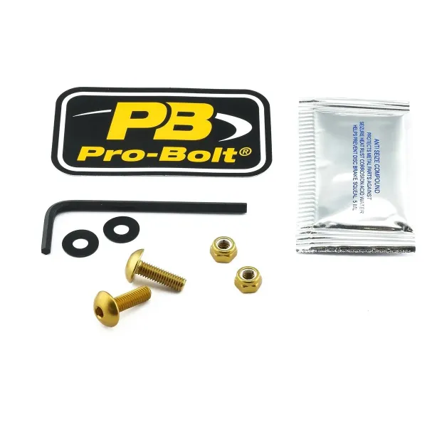 Pro Bolt BOLT KIT LIC PLATE GD