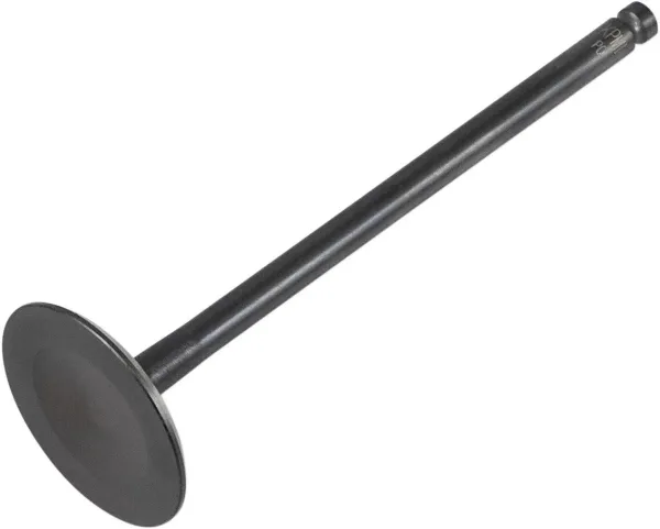 Valves, Guides and Springs