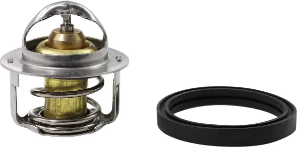 Thermostats – For Polaris