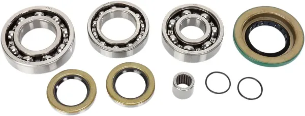 Differential Bearings – Differential Bearings and Seals - Rear Bearing and Seal