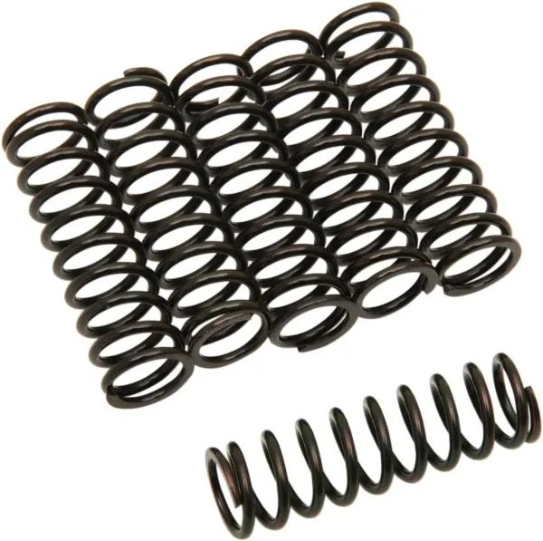 Clutch Discs and Springs – Springs