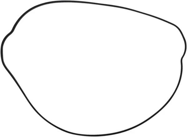 Gaskets and Oil Seals – Complete Gasket Sets with Oil Seals - Clutch Gasket Outer
