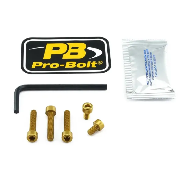 Aluminum Fuel Cap Screw Kits – Gold