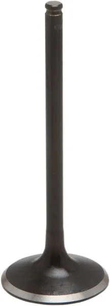 Valves, Valve Guides and Springs