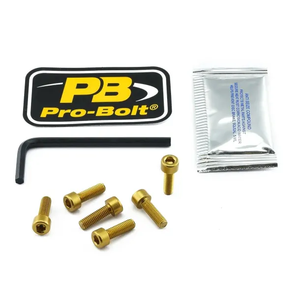 Aluminum Fuel Cap Screw Kits – Gold