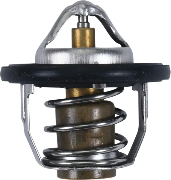 Thermostats – For Polaris