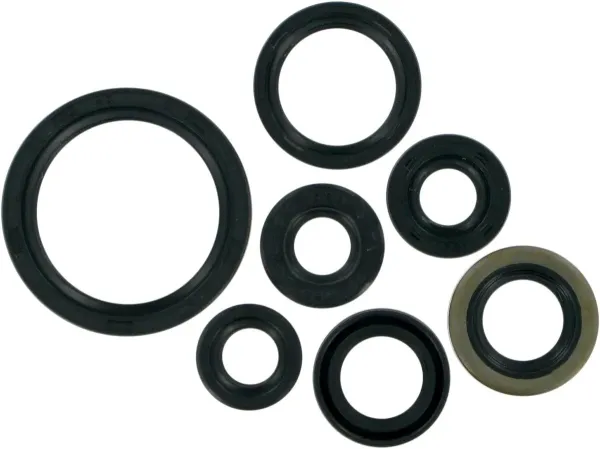 Moose Offroad SEAL-KIT OIL-KLX/DRZ400