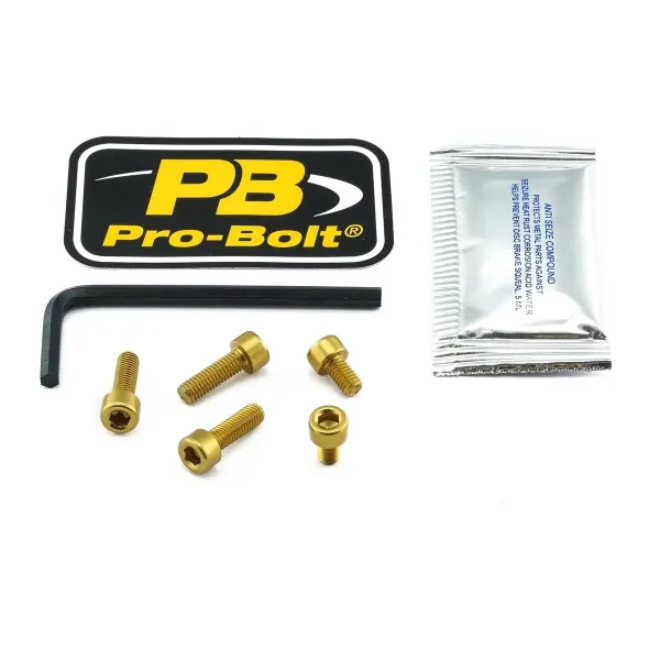 Aluminum Fuel Cap Screw Kits – Gold