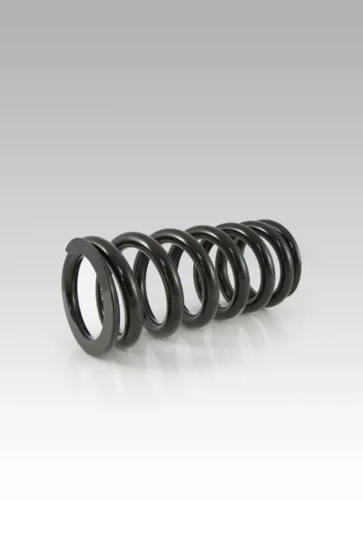 Lowering Spring Kits