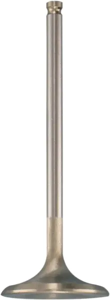 Valves, Guides and Springs