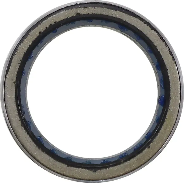 Primary Clutch Bearing