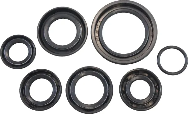 Vintco OIL SEAL KIT KOS003