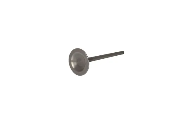 Titanium Replacement Valves – Exhaust