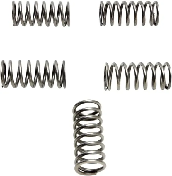 EBC Clutch Kits, Clutch Springs and Diaphragm Springs – Csk Clutch Spring
