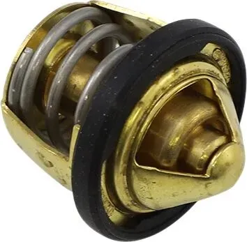 Thermostats – For Polaris