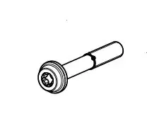 Akrapovic BOLT