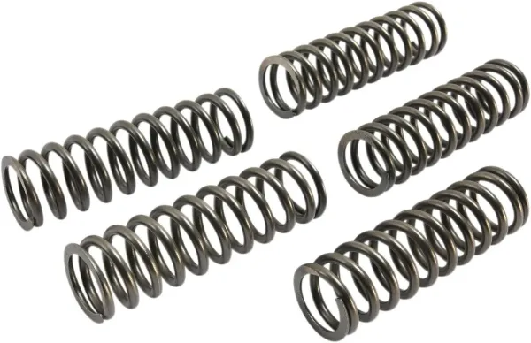 EBC Clutch Kits, Clutch Springs and Diaphragm Springs – Csk Clutch Spring
