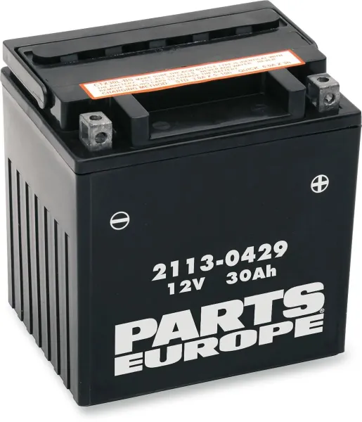 Agm Maintenance Free Batteries – YIX30L-BS