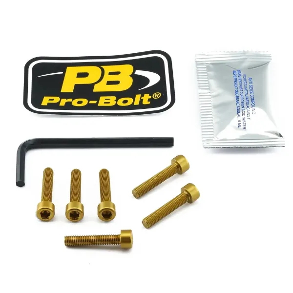 Aluminum Fuel Cap Screw Kits – Gold