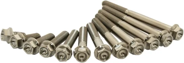 Scar TITANIUM BOLT M6X30 PACK OF 2