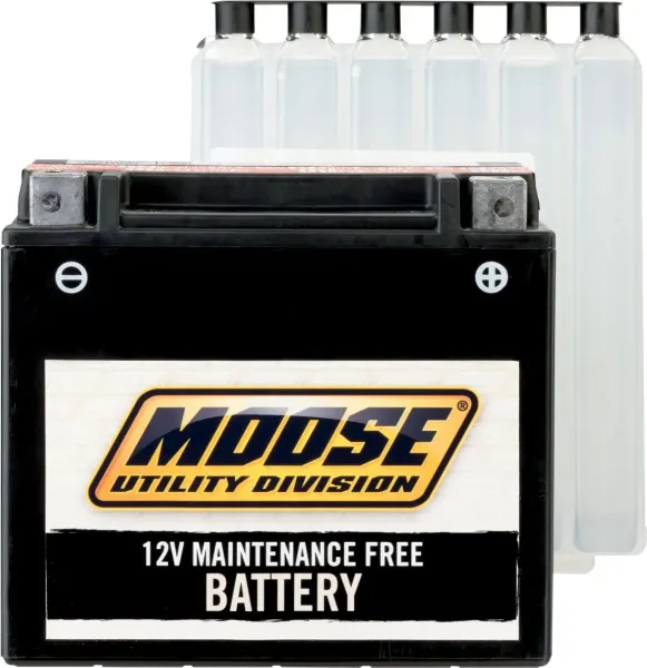 Agm Maintenance Free Batteries – YTX14AH-BS