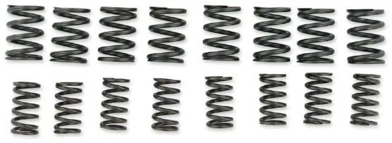 Kibblewhite SPRINGS VALVE STD KZ1000