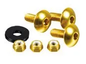 Pro Bolt BOLT KIT LIC PLATE GOLD